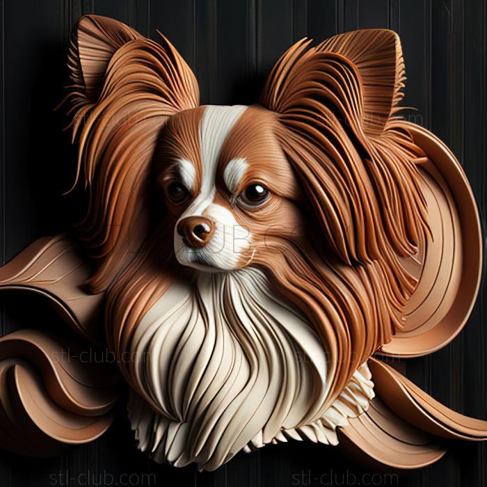 st Papillon dog